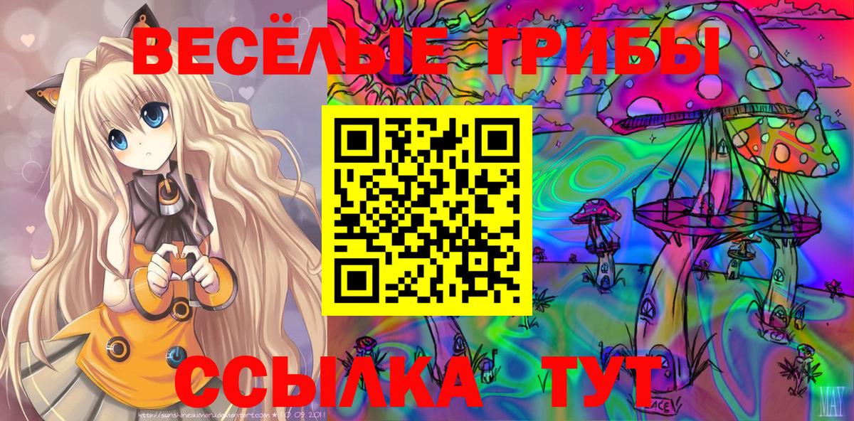 Саров  Галлюциногенные грибы MAGIC MUSHROOMS  Вход с VPN 