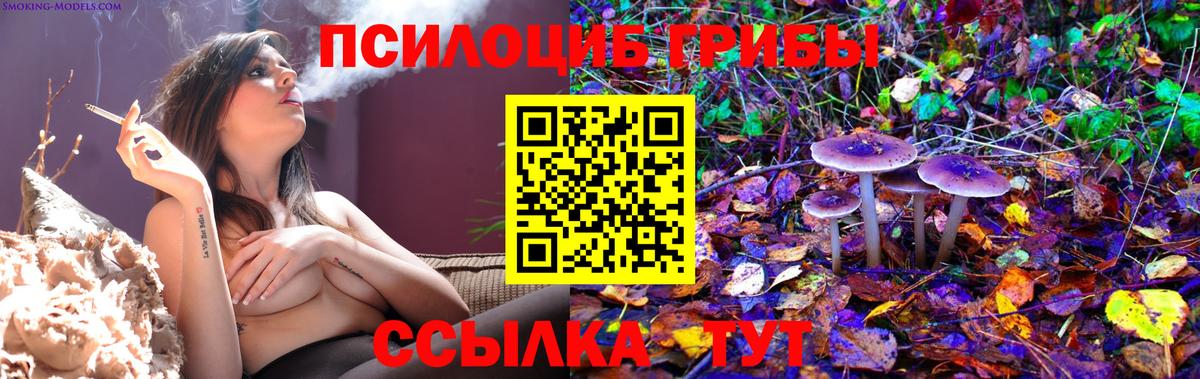 Галлюциногенные грибы Cubensis Саров